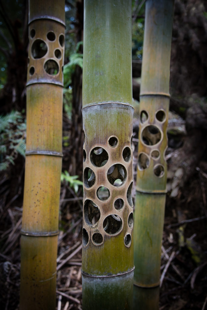 Trail Guide sculpture park